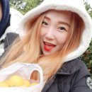 고고농장 네이버블로그