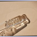 피부정원 이미지