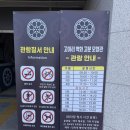 고분 | 고령 아이랑 가볼만한곳｜고아리벽화고분모형관 미디어아트 체험 후기 (무료)