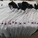 청시의지태권도 이미지