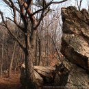 수리산 산림욕장 이미지