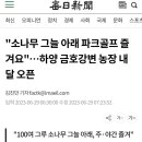 핑크파크 이미지