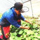 육남매농장 이미지