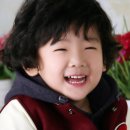 정일진 Daum카페