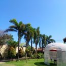 도깨비 당구장 이미지