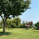 새자리농원 이미지