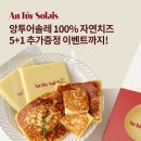 마이카다이렉트 이미지