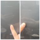 김해대성동 광택 후 발수코팅까지
