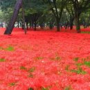 산책펜션 이미지