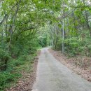 진벌1리 마을회관 이미지