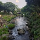 솜반천 | 제주도 숨은 계곡 솜반천 물놀이 주차 취사 정보 총정리