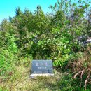 영원7주유소 이미지