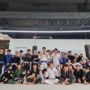 팀하운드광명주짓수 네이버블로그