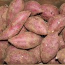 서아농장 이미지