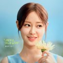 메리미