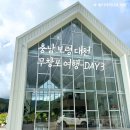 웅천카써비스 | 충남 보령, 대천, 무창포 여행 후기3(국내 가족 여행지 추천, 무창포 비체팰리스, 또다시 갯벌체험...