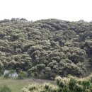 은산농장 이미지