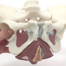 하나제통의원 이미지