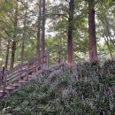 시민의 솟음길 이미지