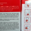 화인약국 이미지