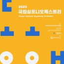 국립심포니오케스트라 티스토리