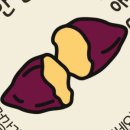 안면도시골농산 이미지