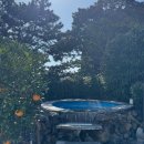 지상낙원 | [제주 서귀포 여행] 산방산 탄산온천🧖♨️ 방문 후기, 지상낙원 (할인 예약 꿀팁, 주차, 준비물 )