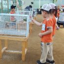 유레카유치원 네이버블로그