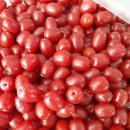 수열농장 이미지