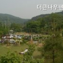 더큰나무펜션 이미지