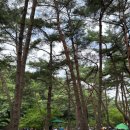 CU 월악산점 이미지