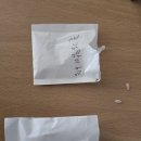 물봉선 참외 박씨앗 이미지