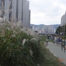 구암동368 이미지