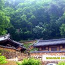 용전발전소 Daum카페