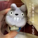 [6월 후쿠오카 여행] 5일차_여행은 안궁금하고 뭐샀냐구요? 후쿠오카 쇼핑 리스트 술찔이의 사케 추천...
