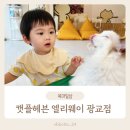 캣플헤븐 앨리웨이 광교점 네이버블로그