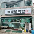 왕벚꽃식당 | 제주 현지인 백반 맛집 '왕벚꽃 백반' 가성비 옥돔구이 정식 혼밥 후기