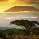 ㅡ KILIMANJARO MARANGU ROUTE 7 DAYS : adventurehero.com 자료 이미지