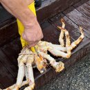 동명항대게마을 | 속초 대게맛집 [동명항대게마을] 킹크랩후기