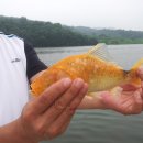 냉정 낚시터 이미지