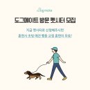 도그매니저 이미지