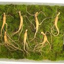 산양농장 이미지