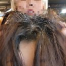 소영헤어샵 이미지