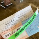 무지개가 피어나는 | 통영 장사도 동백꽃 유람선 겨울 여행 명소 실시간 후기