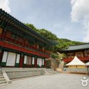 도리사로 이미지