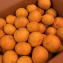 홍순농장 이미지