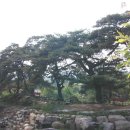 상천리경로당 이미지