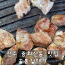 꼴통갈매기