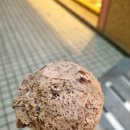 배스킨라빈스서강신수점 | 베스킨라빈스 너 티(Tea)야?? 후기