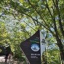 구천동 어사길 | 무주 구천동 함께 걷는 길 무장애탐방로 구천동계곡 구천동 어사길